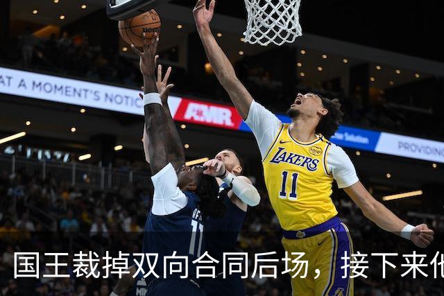 国王裁掉双向合同后场，接下来他还有机会重返NBA赛场吗？